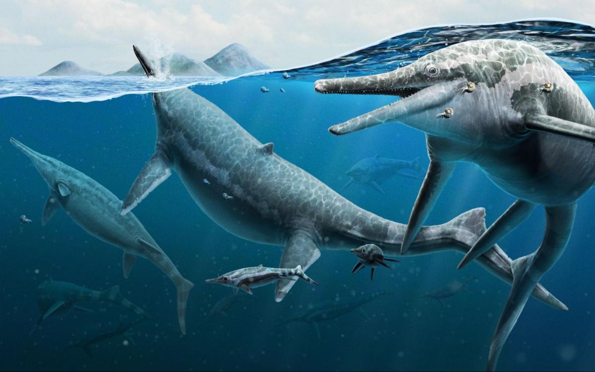 A painting of a large group of giant ichthyosaurs including some juveniles. 
