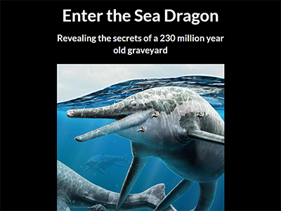 screenshot of scrolling interactive page with an image of a sea creature and the title reads "Enter the Sea Dragon"