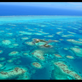 Photo of patch reefs in Belize