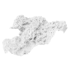 rendered image of manopora lichen macro